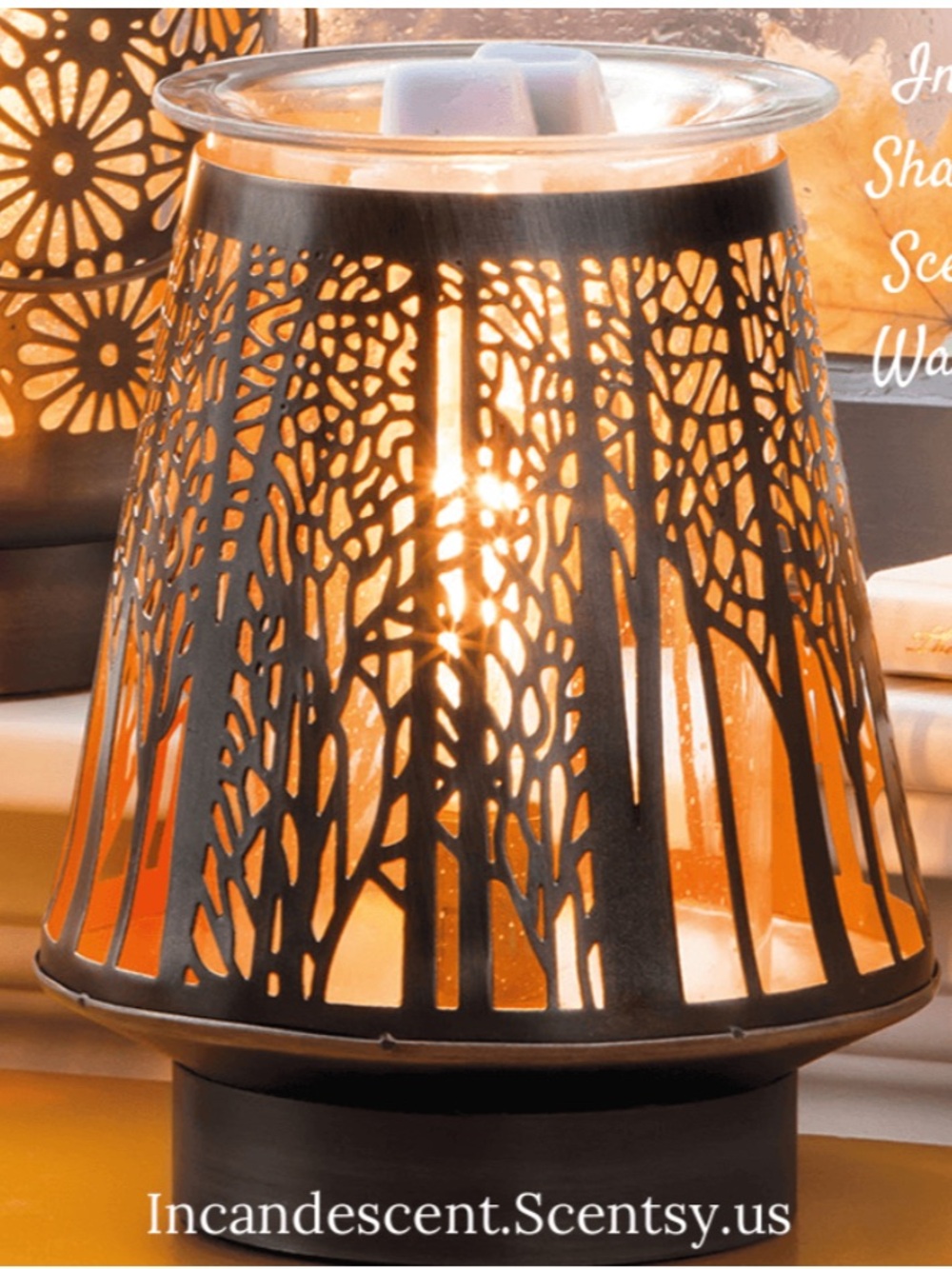 Elegant Scentsy “In the
shadows” sleek and modern Warmer